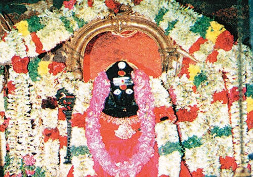 இன்றைய கோபுர தரிசனம்...!