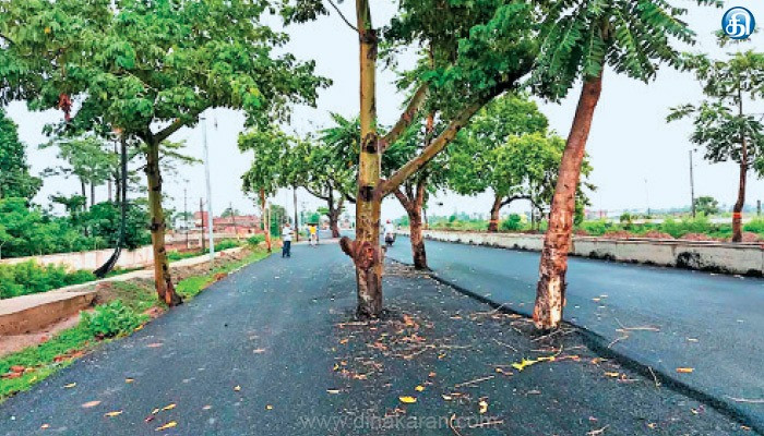 ரோடா?  காடா ? வாகன ஓட்டிகள் பீதி ! பீகாரில் நடந்த கூத்து  :