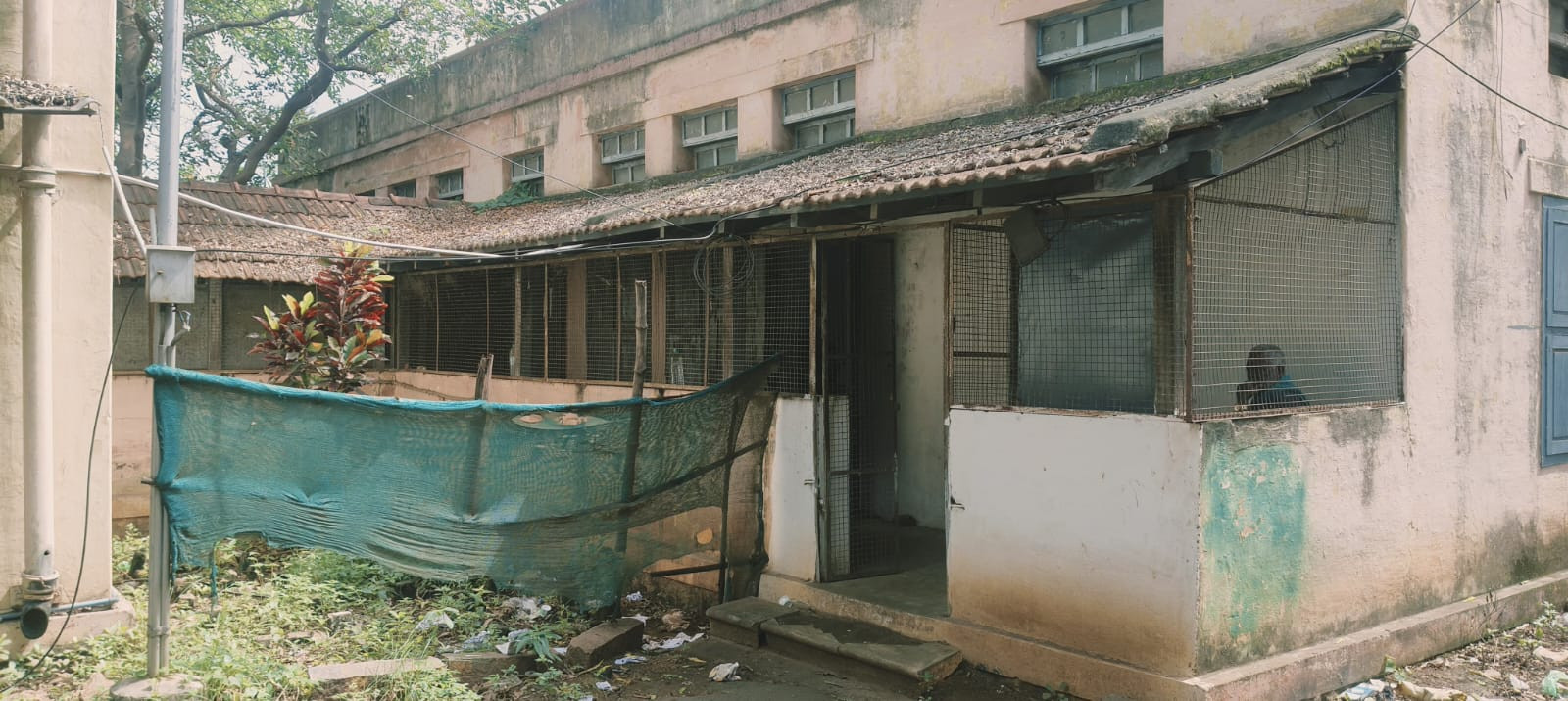 திண்டுக்கல்லில் ₹10,000 லஞ்சம் வாங்கிய...! கிராம நிர்வாக அலுவலர் கைது...!