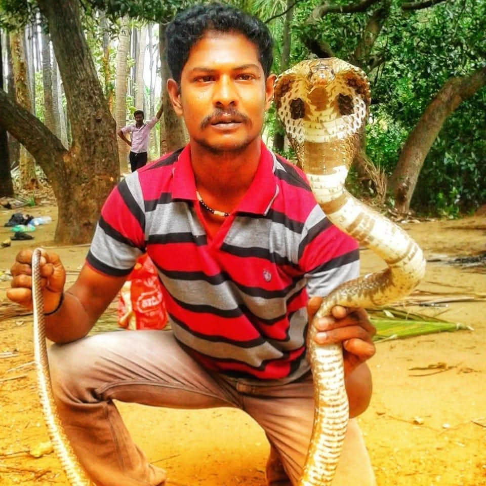 பாம்பு கண்ணனுக்கு விருது வழங்கி அங்கீகரிக்க வேண்டும் . இந்து எழுச்சி முன்னணி கோரிக்கை...!!!