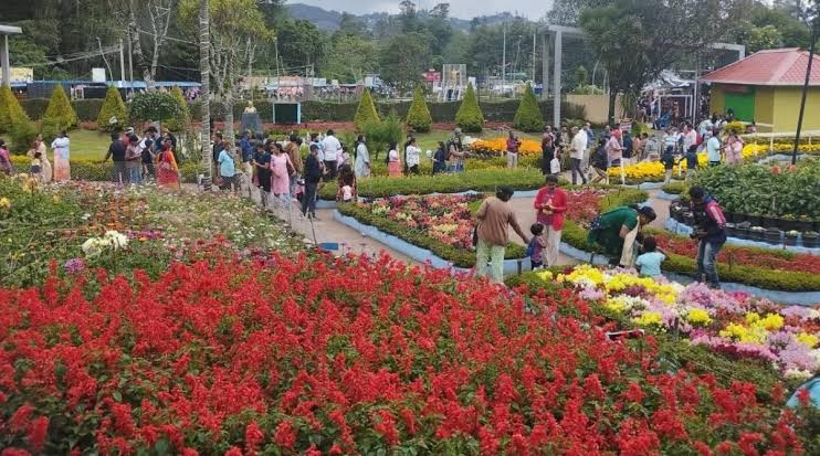 கொடைக்கானலில் சுற்றுலா பயணிகள் அலறி அடித்து ஓட்டம்..! பெரும் பரபரப்பு..!