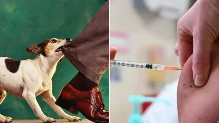 மக்கள் ஒத்துழைக்க வேண்டும்...! மாநகராட்சி வேண்டுகோள்...!