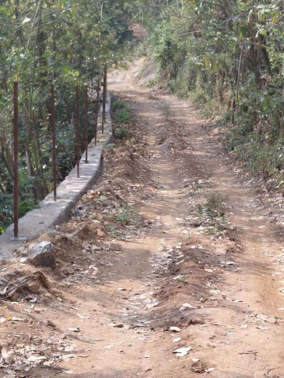 கொடைக்கானல் மலைப்பகுதிகளில் கொள்ளையடிக்கப்படும் வன வளங்கள்  அதிர்ச்சி  !  நடவடிக்கை எடுக்க கோரிக்கை  !!