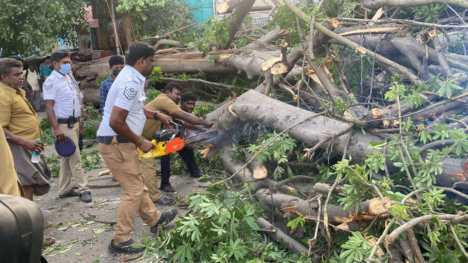 மிகப் பழமையான மரம் சாலையில் சாய்ந்தது..! சினிமா பாணியில் செயல்பட்ட காவலர்கள்...! குவியும் பாராட்டுக்கள்...!