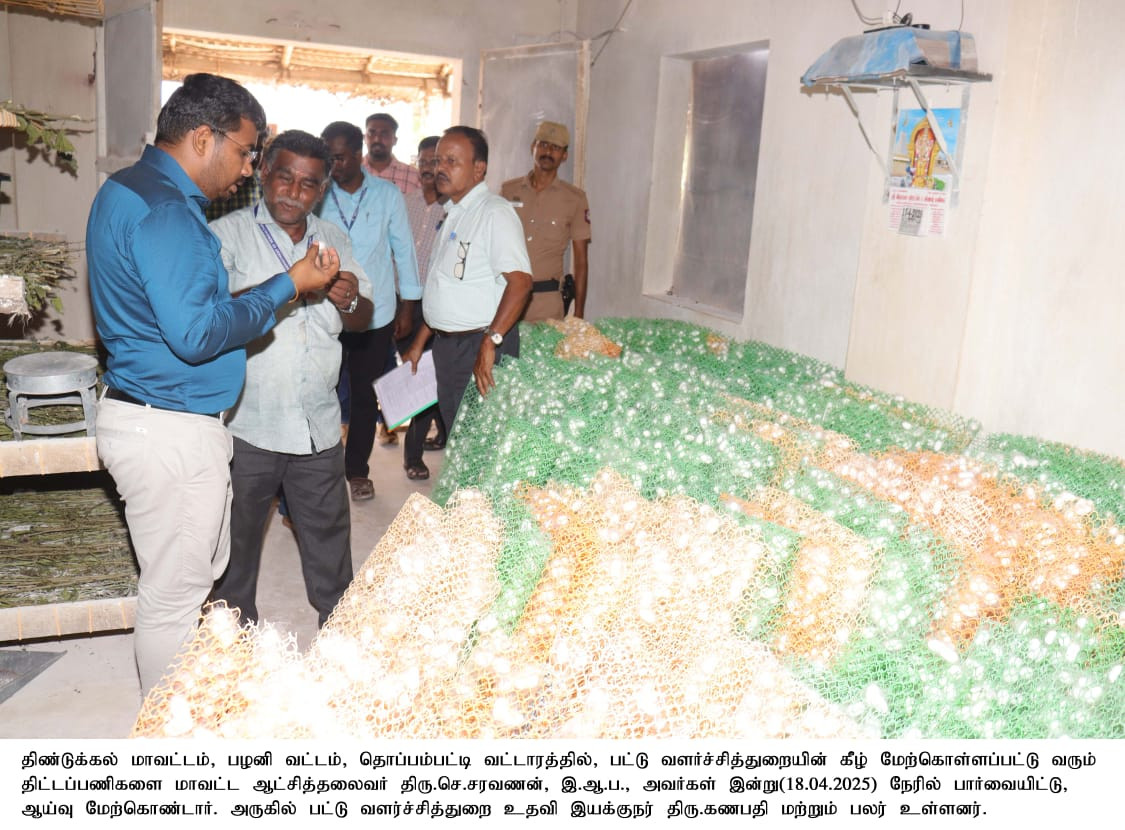 அன்னை இளம்புழு வளர்ப்பு மையத்தில்...! மாவட்ட ஆட்சியர் அதிரடி ஆய்வு....!