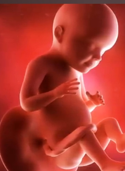 கருவில் உள்ள பால் இனத்தை கூறி வந்த 3 மருத்துவமனைகளை மூட உத்தரவு......???