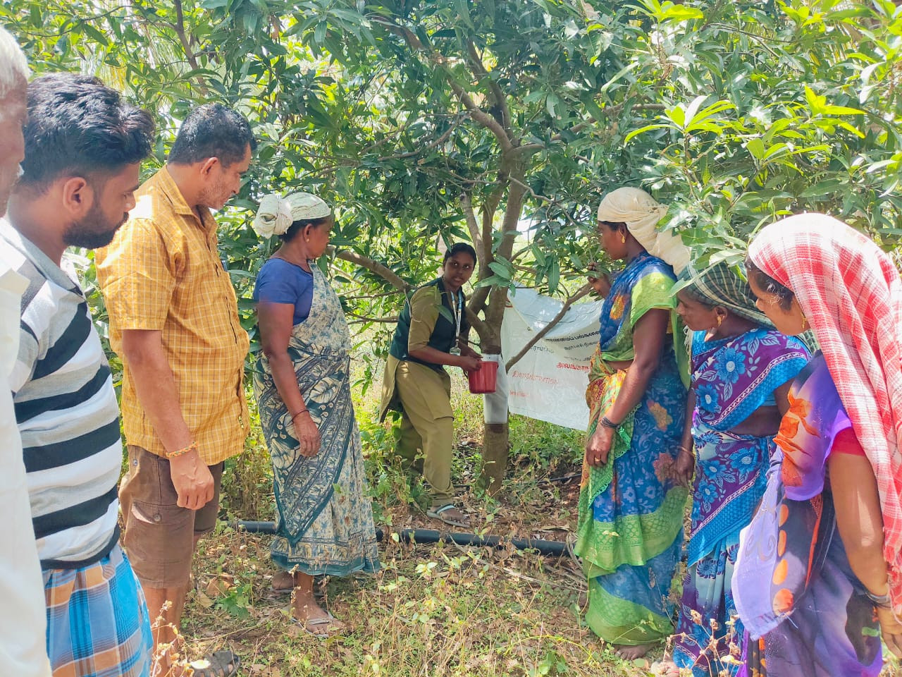 மாவுப்பூச்சியை கட்டுப்படுத்தும் அற்புதம்...! வேளாண் மாணவி விளக்கம்..!