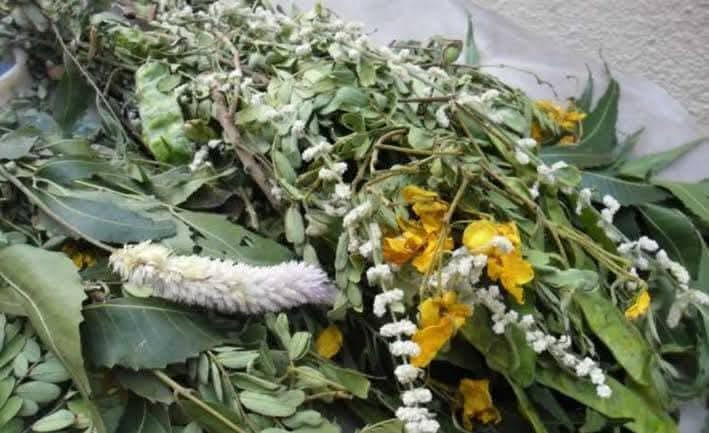 காப்பு கட்டுதல்  - வெறும் சடங்கல்ல. ! மருத்துவ அறிவு  !!