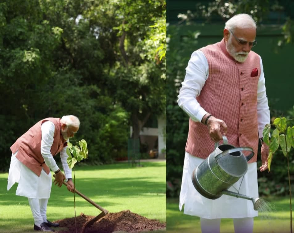 உலக சுற்றுச்சூழல் தினம்...! பிரதமர் செய்த செயல்...! குவியும் பாராட்டுக்கள்...!