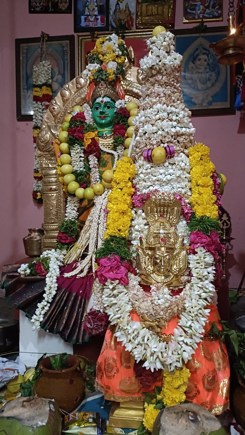 தேனி கூடலூர் திரிசூல காளியம்மன் கோயிலில் பங்குனி பெருவிழா கோலாகலம் ★  முளைப்பாரி, பால்குடம் எடுத்து வழிபாடு