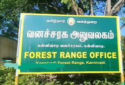 தனியாருக்கு சொந்தமான நிலத்தில் முள் எலி...! வனத்துறையினர் மீட்பு...! 