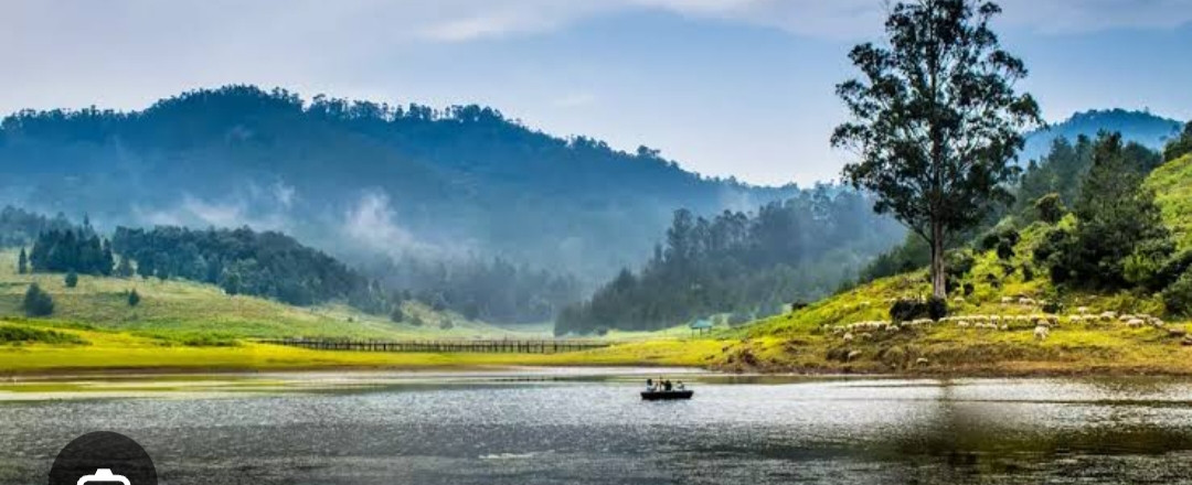 பழனி கொடைக்கானல் சாலையில் அதிகரித்து வரும் விபத்து...??? காவல்துறை வனத்துறை, அலட்சியம்...!!!!