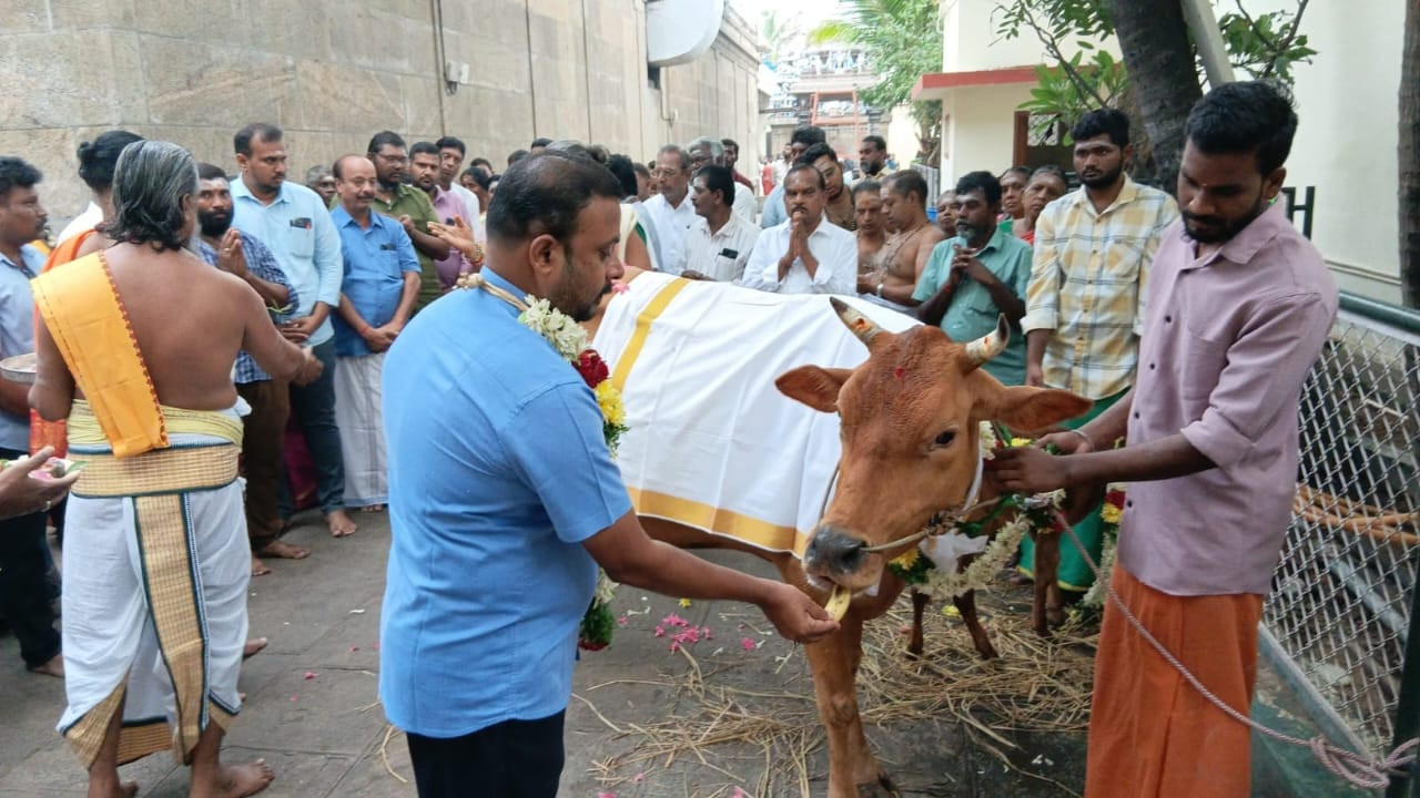 பழநியில் இன்று சிறப்பு பூஜை...! கோலாகலமான தொடக்கம்..!