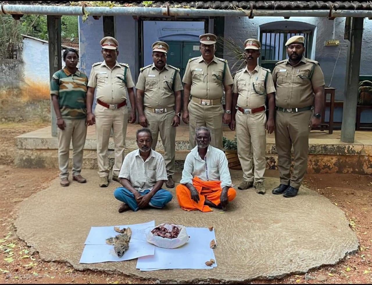 அரிய வகை விலங்குகள் வேட்டை..! 4 பேர் கைது...! வனத்துறையினர் அதிரடி..!
