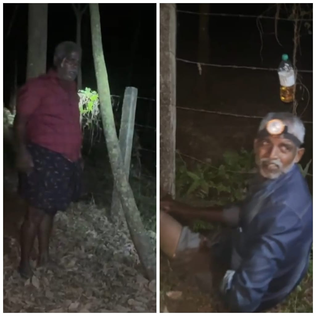 ரப்பர் தோட்டங்களுக்கு தீ  - மிரட்டும் நபர்கள்  - நடவடிக்கை எடுக்க கோரிக்கை  !