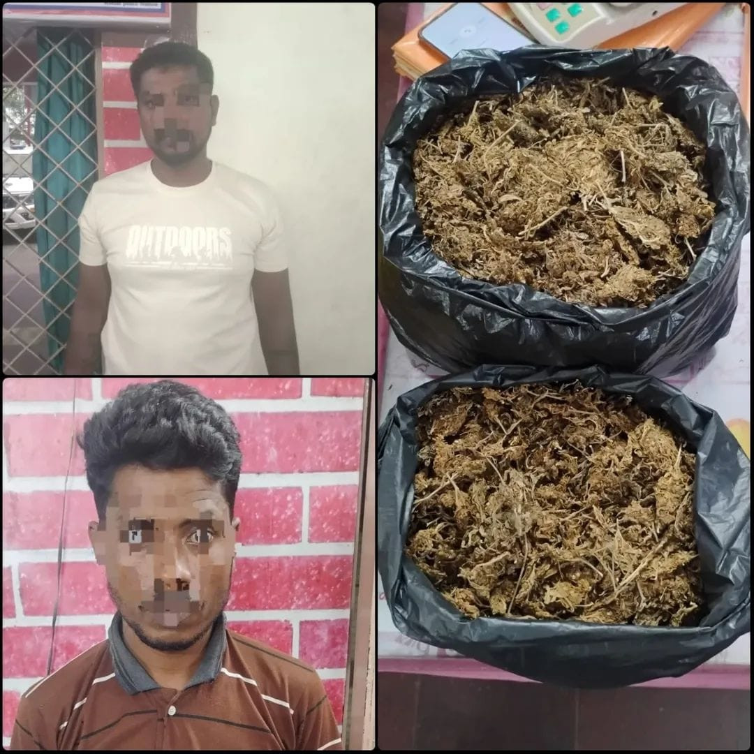 கஞ்சா வேட்டை..! இருவர் கைது..! 1.25 கிலோ கஞ்சா பறிமுதல்..!