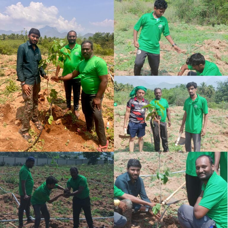 கல்லூரியில் பசுமை முயற்சி..! எம்பி பங்கேற்பு...!