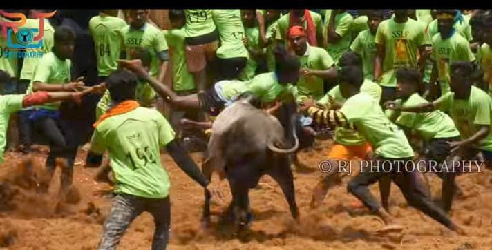 மதுரை அவனியாபுரம் ஜல்லிக்கட்டு  -  விறுவிறுப்பு - டிராக்டர், கார், பைக் -   பரிசு மழை ! 