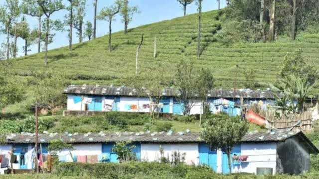 தொழிலாளர்களுக்கு விலையில்லாமல் வீடு...! அரசாணை வெளியீடு...!