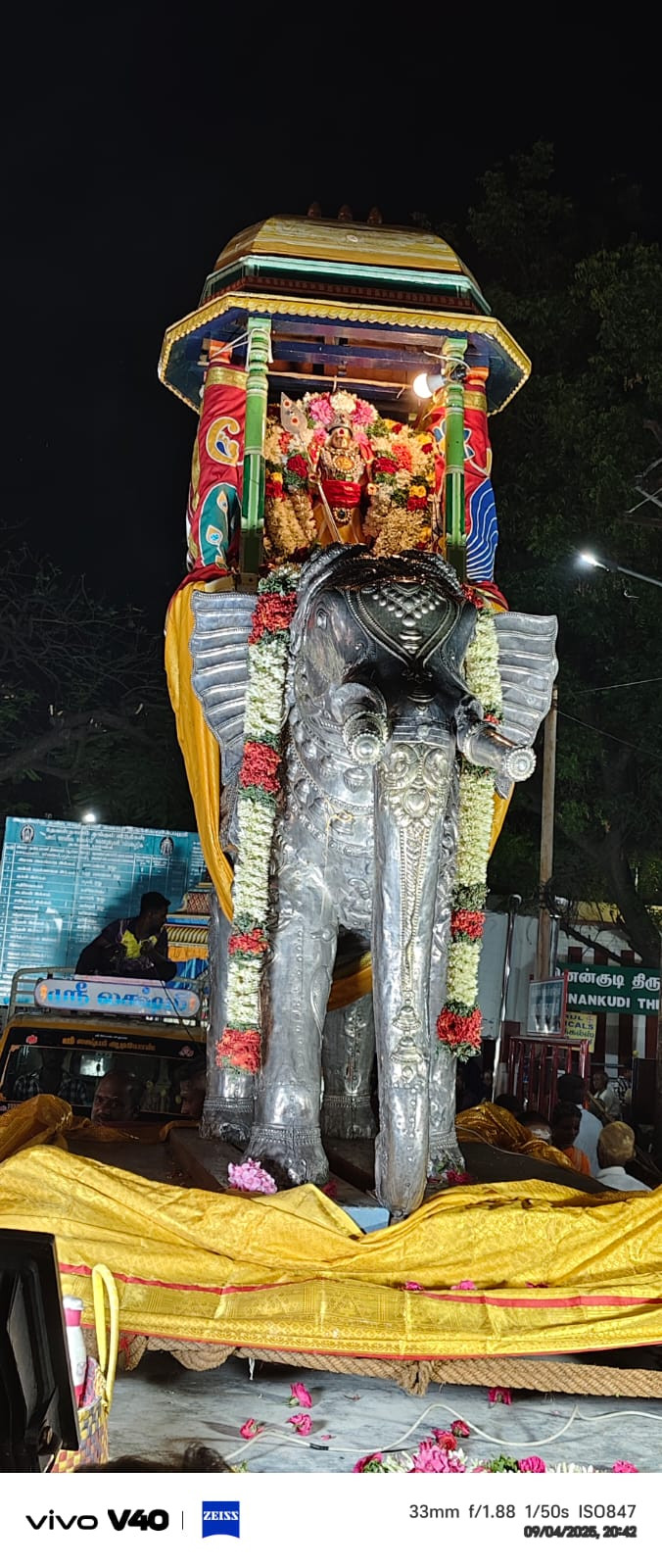 நேற்று பழநியில் குவிந்த பக்தர்கள்...! காரணம் தெரியுமா...?